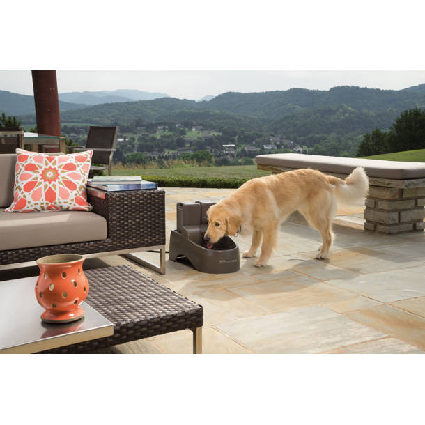 PetSafe® Stay & Play® Compact Wireless Dog Fence & Reviews Wayfair